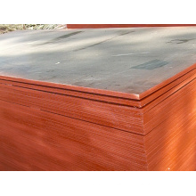 Used Plywood Sheets Poplar Core for Concrete Usages